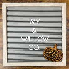 Load image into Gallery viewer, Cheetah Pumpkin Freshie