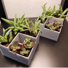 Load image into Gallery viewer, 3D Printed Succulent/Small Plant Planter
